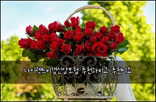 다이렉트비갱신암보험 추천과비교  추천이요