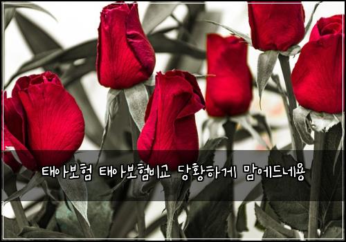 태아보험 태아보험비교 당황하게 맘에드네용