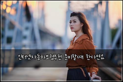 인터넷자동차보험추천 준비할때 한다면요