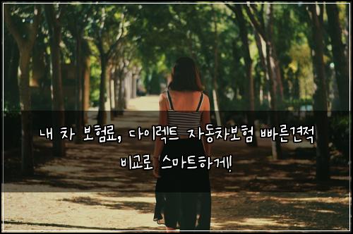  내 차 보험료, 다이렉트 자동차보험 빠른견적 비교로 스마트하게!