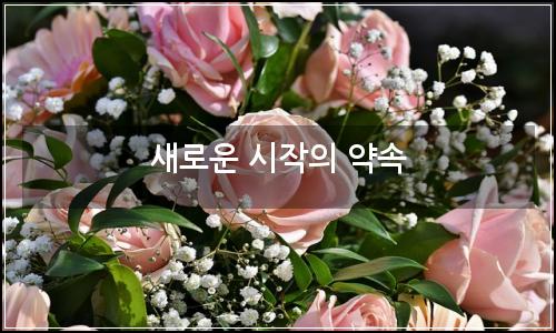 오늘의 이미지