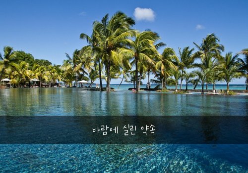 바람에 실린 약속