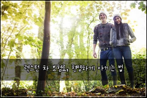 렉스턴 차 보험료, 현명하게 아끼는 법