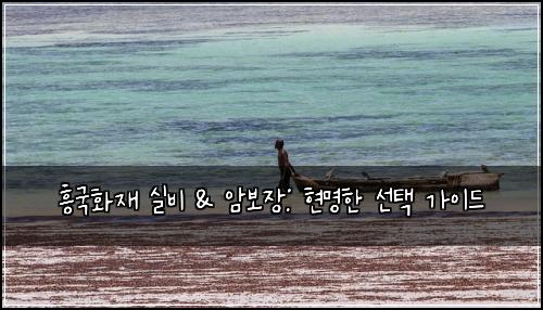 흥국화재 실비 & 암보장: 현명한 선택 가이드