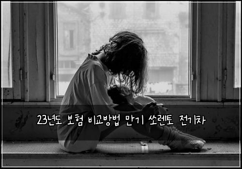 23년도 보험 비교방법  만기 쏘렌토 전기차