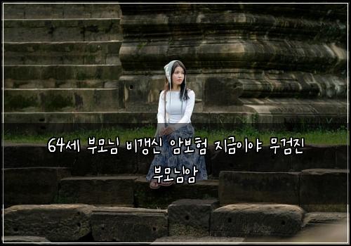 64세 부모님 비갱신 암보험 지금이야  무검진 부모님암