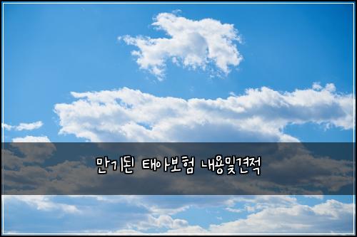 만기된 태아보험 내용및견적 