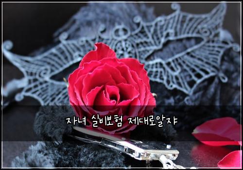 자녀 실비보험 제대로알쟈 