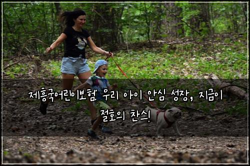 제흥국어린이보험: 우리 아이 안심 성장, 지금이 절호의 찬스!