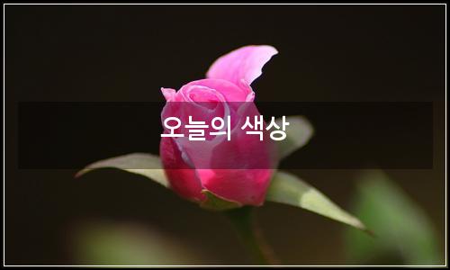 오늘의 이미지
