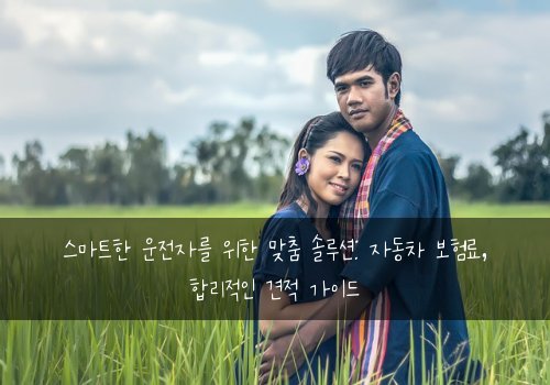  스마트한 운전자를 위한 맞춤 솔루션: 자동차 보험료, 합리적인 견적 가이드