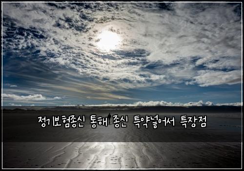정기보험종신 통해 종신 특약넣어서 특장점