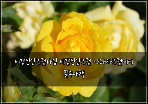 비갱신암보험가입 비갱신암보험 나와라보험에서 필수대책