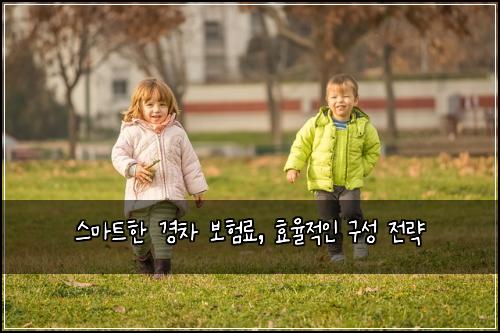 스마트한 경차 보험료, 효율적인 구성 전략
