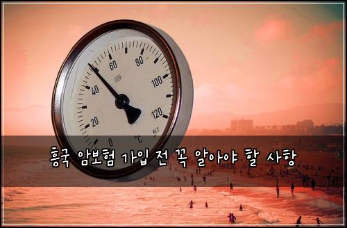 흥국 암보험 가입 전 꼭 알아야 할 사항