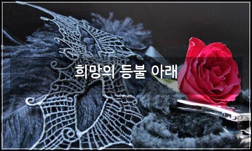 오늘의 이미지