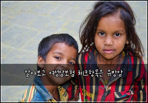 알아보고 여성암보험 체크항목은  유방암