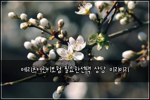 메리츠어린이보험 필요한선택  상담 미리미리