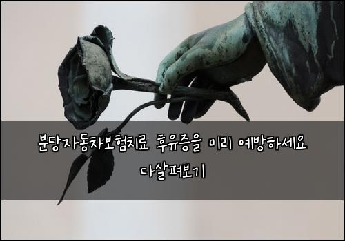 분당자동차보험치료 후유증을 미리 예방하세요 다살펴보기