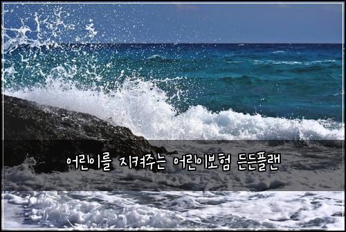 어린이를 지켜주는 어린이보험 든든플랜 