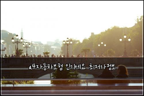 a4자동차보험 인기에요  최저가정보
