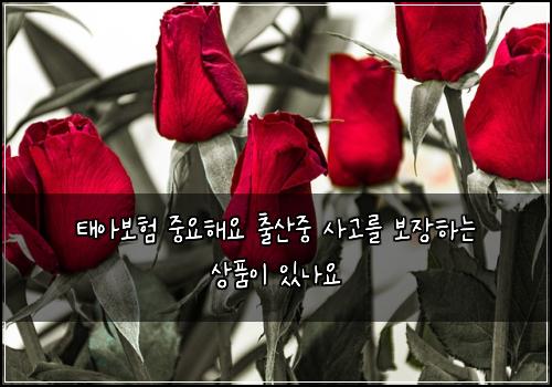 태아보험 중요해요  출산중 사고를 보장하는 상품이 있나요