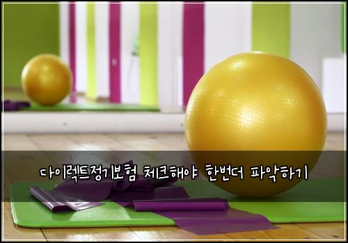 다이렉트정기보험 체크해야  한번더 파악하기