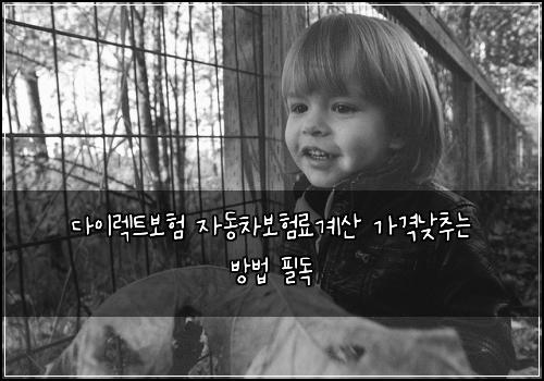 다이렉트보험 자동차보험료계산 가격낮추는 방법 필독