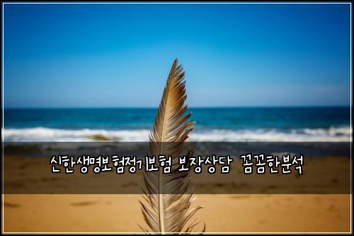 신한생명보험정기보험 보장상담 꼼꼼한분석