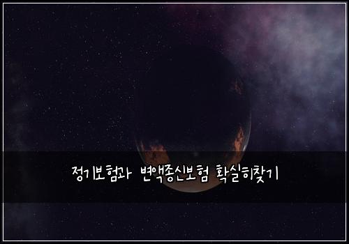 정기보험과 변액종신보험 확실히찾기