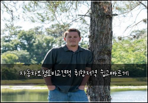 자동차보험료비교견적 취향저격 쉽고빠르게
