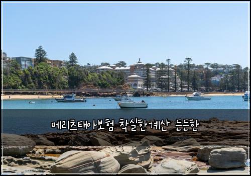 ๋ฉ๋ฆฌ์ธ ํ์๋ณดํ ์ฐฉ์คํ๊ณ์ฐ ๋ ๋ ํ