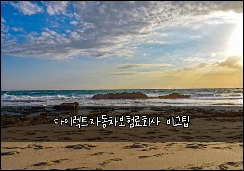๋ค์ด๋ ํธ์๋์ฐจ๋ณดํ๋ฃํ์ฌ ๋น๊ตํ