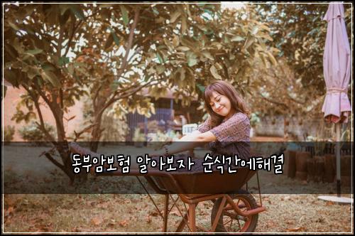 동부암보험 알아보자  순식간에해결