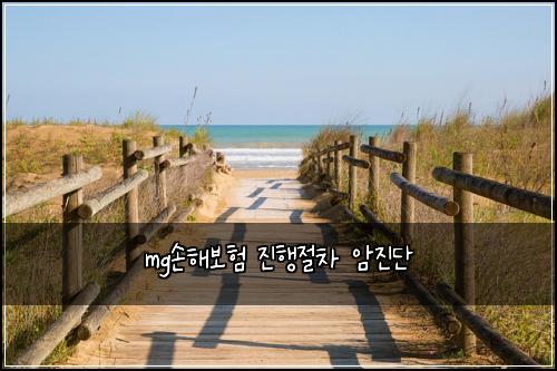 mg손해보험 진행절차  암진단
