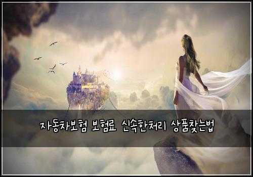 자동차보험 보험료 신속한처리 상품찾는법