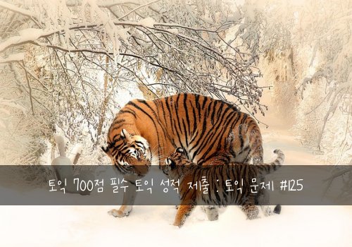 토익 700점 필수 토익 성적 제출 : 토익 문제 #125