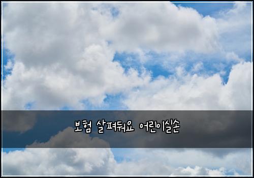 ๋ณดํ ์ดํด๋ฌ์ ์ด๋ฆฐ์ด์ค์