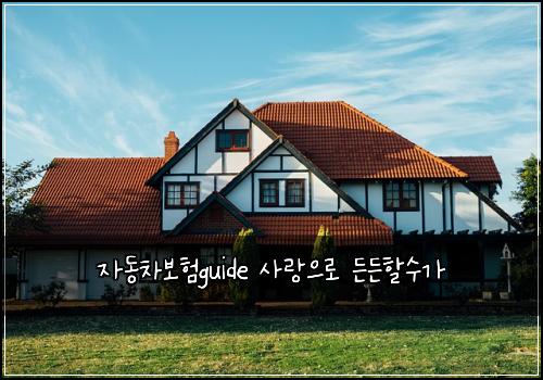 자동차보험guide 사랑으로 든든할수가