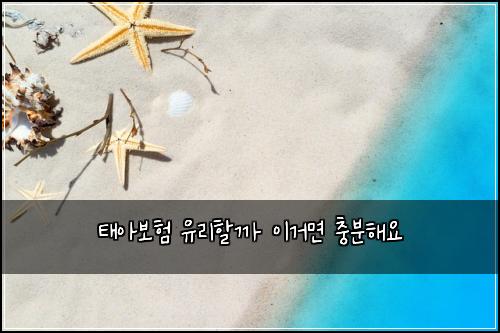 태아보험 유리할까  이거면 충분해요
