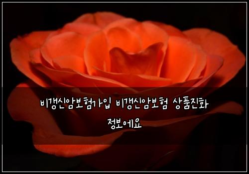 비갱신암보험가입 비갱신암보험 상품진화 정보에요