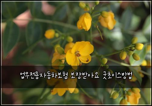 업무전용자동차보험 보장받아요  굿초이스방법