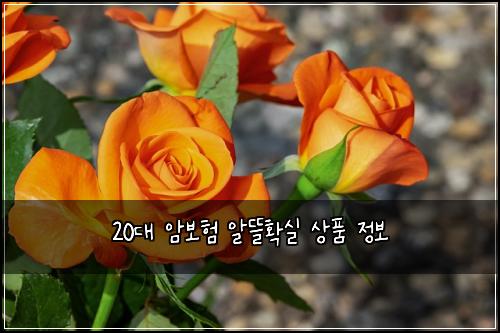 20대 암보험 알뜰확실  상품 정보