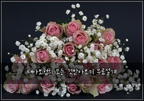 태아보험의 모든 것받아보기 무료설계