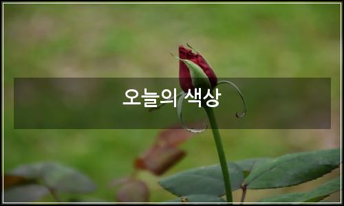 오늘의 이미지