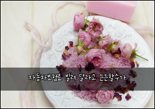 자동차보험료 빌려 달라고 든든할수가