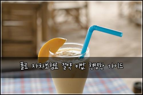  폴로 자차보험료 절약 비법: 현명한 가이드