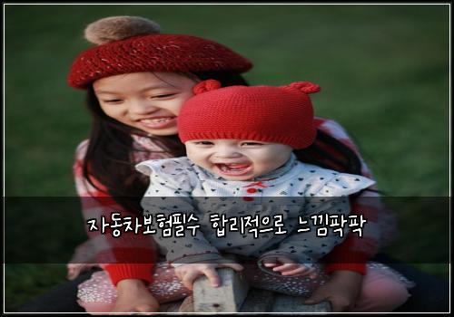 자동차보험필수 합리적으로 느낌팍팍