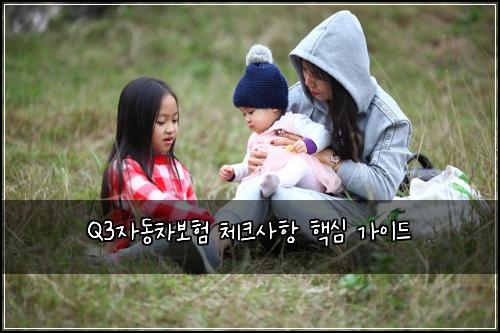 Q3자동차보험 체크사항 핵심 가이드