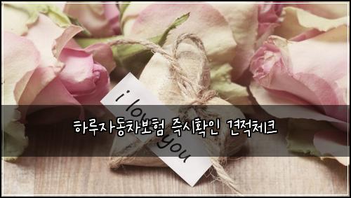 하루자동차보험 즉시확인  견적체크